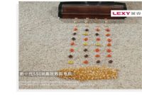莱克立式吸尘器：轻松解决中国家庭清洁问题