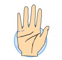 婚姻线是哪一条 如何看手相婚姻线