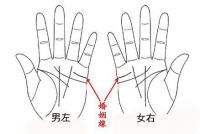 婚姻线是哪一条 如何看手相婚姻线