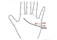 婚姻线很长代表什么  婚姻线穿过成功线代表什么