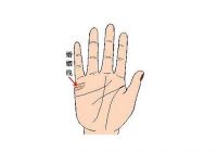 婚姻线很长代表什么  婚姻线穿过成功线代表什么