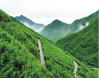 凉席稳居夏日消暑好物榜 即刻为你安排冰美人床上用品“清凉局”