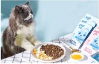 三只松鼠成功出圈，子品牌“养了个毛孩”正式上线