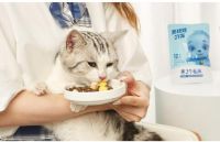 三只松鼠成功出圈，子品牌“养了个毛孩”正式上线