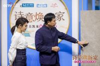 蒙娜丽莎陶瓷大板携手撒贝宁上演价格“大跳水”