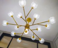 双十一强势来临，看月影灯饰直播间如何迎战？