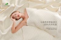 全球顶级100%纯乳胶品牌，马来西亚GETHA吉达诚邀加盟！