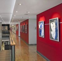 你好，奔驰！你家体育馆是我刷的