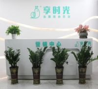 享时光木阳台创始人左庆志:对于做品牌这件事,我是认真的