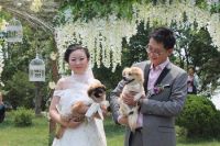 2020婚礼风格流行趋势有哪些 这几种风格有你适合的吗