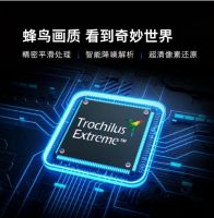 创维电视双11战绩辉煌，全生态智慧屏与剧幕影院系列成焦点