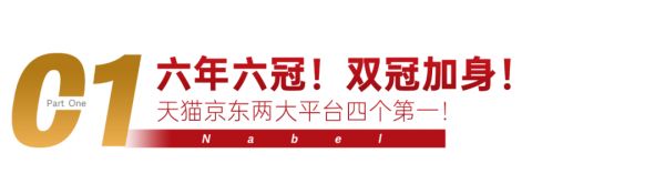 双冠加身！诺贝尔瓷砖2020双11再度蝉联销冠