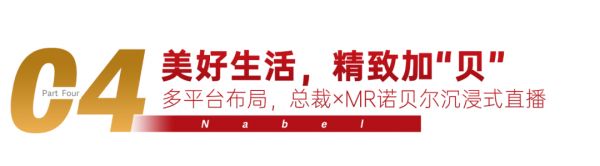 双冠加身！诺贝尔瓷砖2020双11再度蝉联销冠