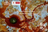 诺贝尔瓷砖追寻极致纹理,将大自然所有美送进你的家