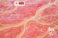 诺贝尔瓷砖追寻极致纹理,将大自然所有美送进你的家