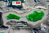 诺贝尔瓷砖追寻极致纹理,将大自然所有美送进你的家