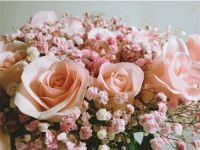 感谢老婆的辛苦一段话 老婆生日送什么礼物合适