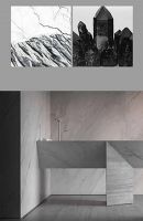 TONA国际卫浴：TONA岩板浴室柜虽好，不懂这些都白搭！