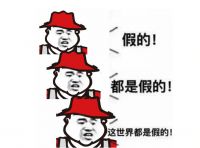 谁是真名媛？谁是假名媛？
