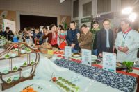 健康浙江—合理膳食行动启动仪式 暨浙江省第二届名茶点名茶肴大赛成功举办