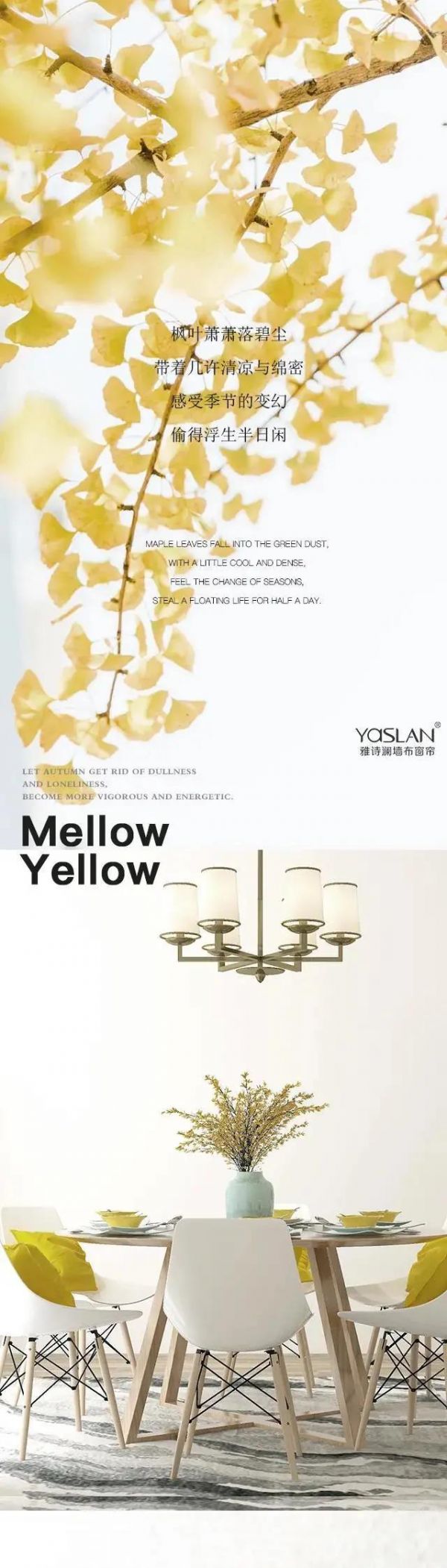 【YASLAN】Mellow Yellow 古金黄 静赏秋日的赞歌
