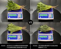 奥马鲜见S550保鲜效果如何？安格斯M5牛排放7天，取出后竟然…