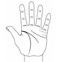 如何看婚姻线 看看你是哪一个