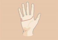 婚姻线断开了是指什么 什么样的婚姻是幸福的