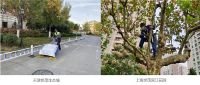 世茂服务：以安心、贴心、 暖心服务为业主打造冬日美好