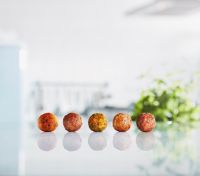 宜家植物蛋白肉丸正式上市 气候足迹仅为传统肉丸的4%