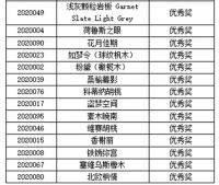 全球饰面大会原创设计秀视觉盛宴闪耀杭城
