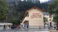 一个故事一幅画！“苗朵向阳开”艺术展即将落地798北京悦美术馆