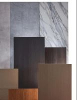 澳思柏恩创意实力派—LSB 板( 可饰面定向刨花板 )