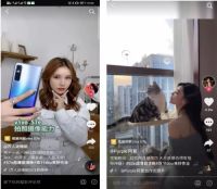 明星达人组合种草，Dou有万物节助品牌双11营销“出道”