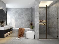 便洁宝：专注智能马桶领域的“智造者”