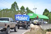 泰国多地暴雨成灾，各界纷纷驰援，又见中国品牌