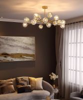 《爆款星主播》第三期火热来袭，月影家居水晶灯成全场焦点