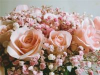 一起走过八年经典语句 结婚纪念日送什么给老婆