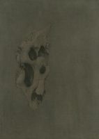 11月28日—12月27日 杨新收个展登陆WS GALLERY