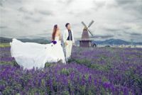 婚纱照5000多贵吗 去拍婚纱照怎么咨询