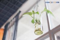 科技住宅为啥热门?看过绿金科技系统你就知道了