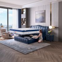 共掘千亿家居市场 芝华仕5星床垫携红星美凯龙招商路演成功落幕