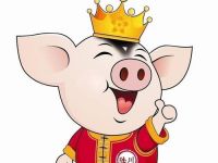 97属牛的和95属猪结婚好吗 属牛男人和属猪女人性格怎样