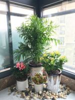 享时光木阳台的味道，你知道吗？