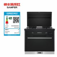 帅丰电器有真功 呼“丰”唤“语”显身手