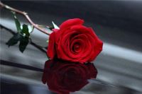 结婚16年什么婚 结婚16年送什么礼物比较好