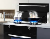 伊歌集成灶 伊歌用户体验系列 | 宁乡李姐说 ： “希望大家都来买！”