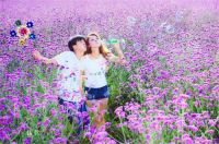 不拍婚纱照怎么弄婚礼 补拍婚纱照好不好