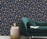 2020年新品发布 ▏Denzo 漫妙巴黎 II