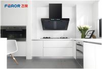 飞奥电器勇夺“中国十大健康节能厨卫品牌”大奖！